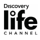 Discovery Life