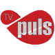 TV Puls